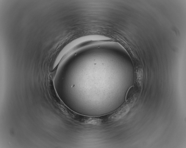 X0000112930617200909071035