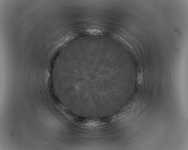 X0000112930618200909071035