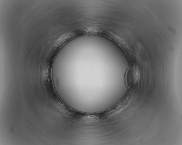 X0000112930619200909071035