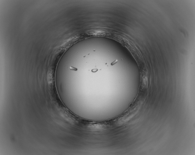 X0000112930620200909071035