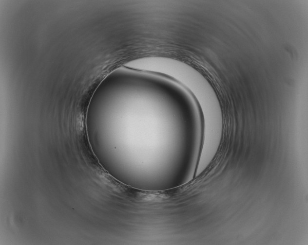 X0000112930621200909071035