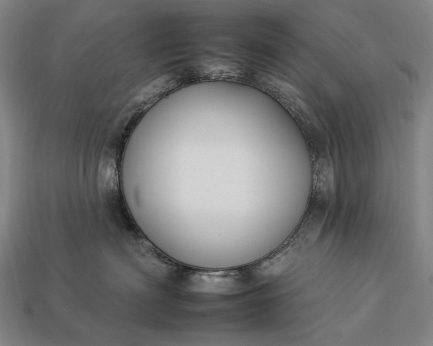 X0000112930622200909071035