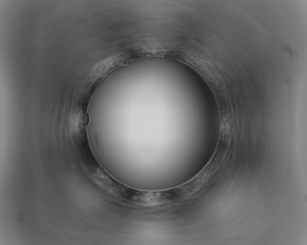 X0000112930623200909071035