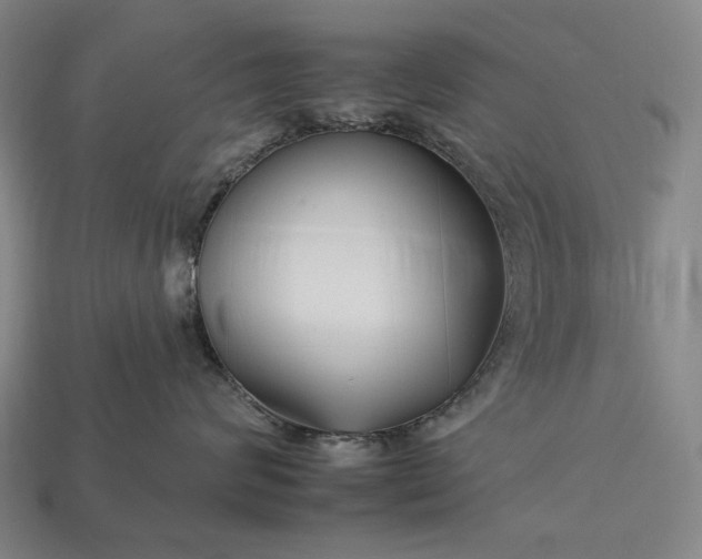 X0000112930624200909071035