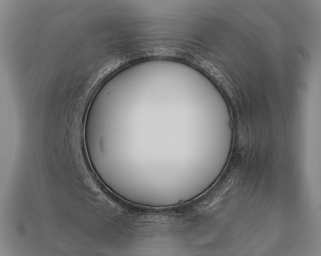 X0000112930625200909071034