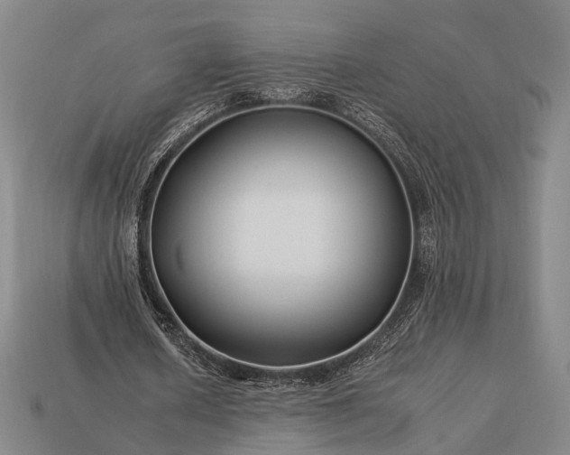 X0000112930626200909071034