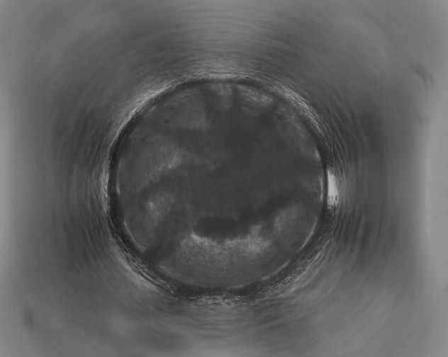 X0000112930627200909071034