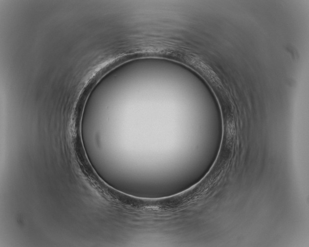 X0000112930628200909071034