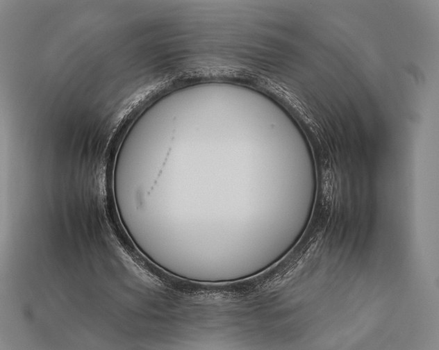 X0000112930629200909071034