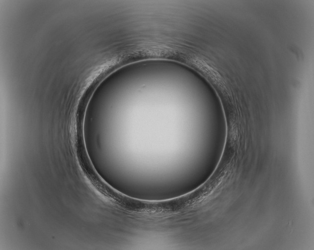 X0000112930630200909071034