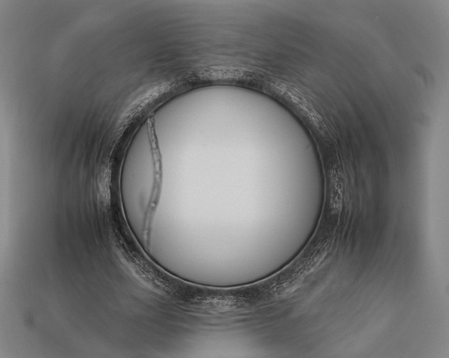 X0000112930631200909071034