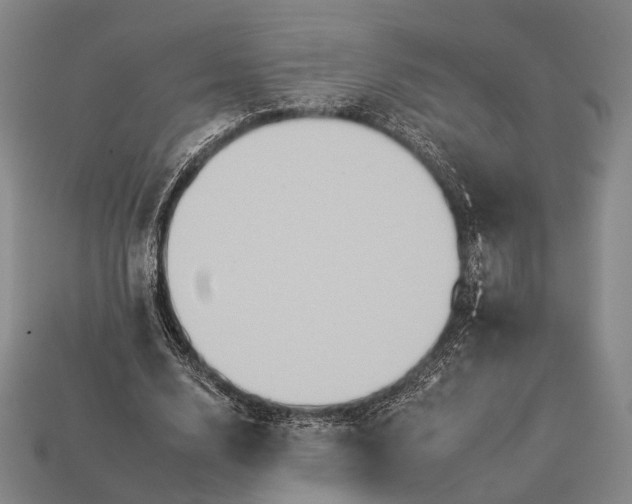 X0000112930632200909071034