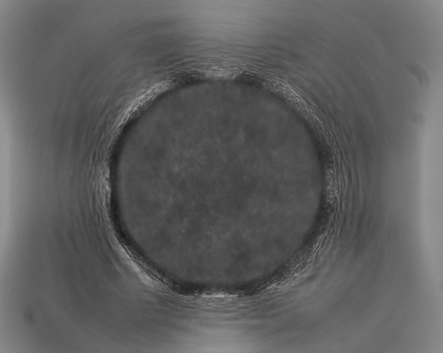 X0000112930634200909071034