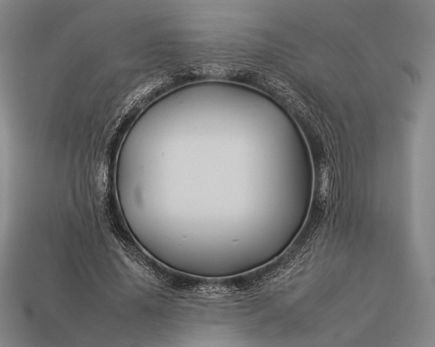 X0000112930636200909071034