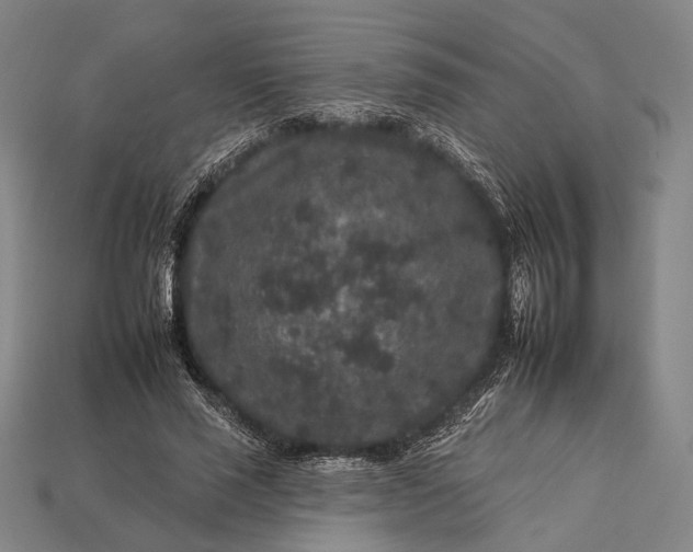 X0000112930637200909071034