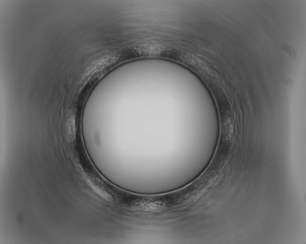 X0000112930638200909071034