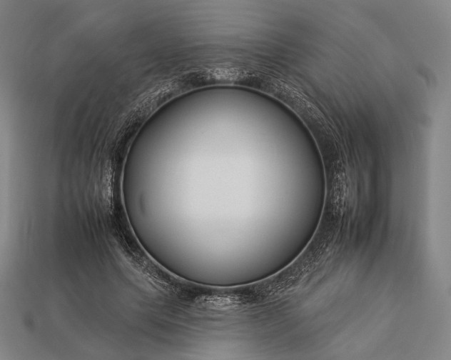 X0000112930639200909071034