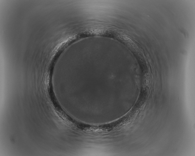 X0000112930640200909071034