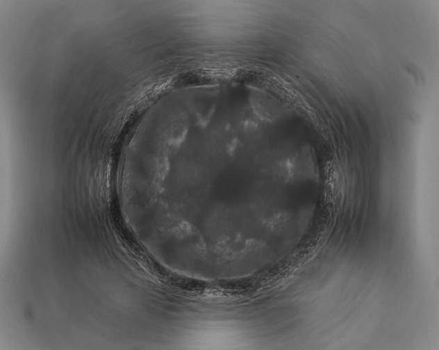 X0000112930641200909071034