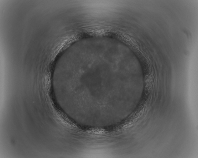 X0000112930642200909071034