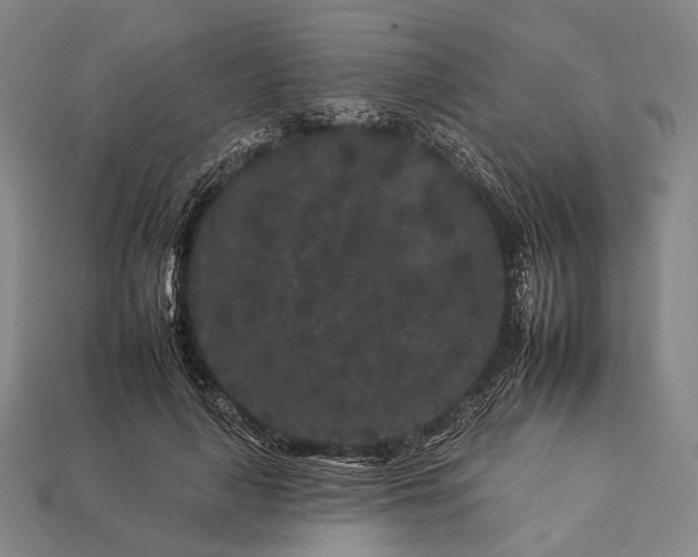 X0000112930643200909071034