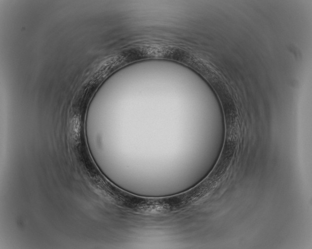 X0000112930646200909071034