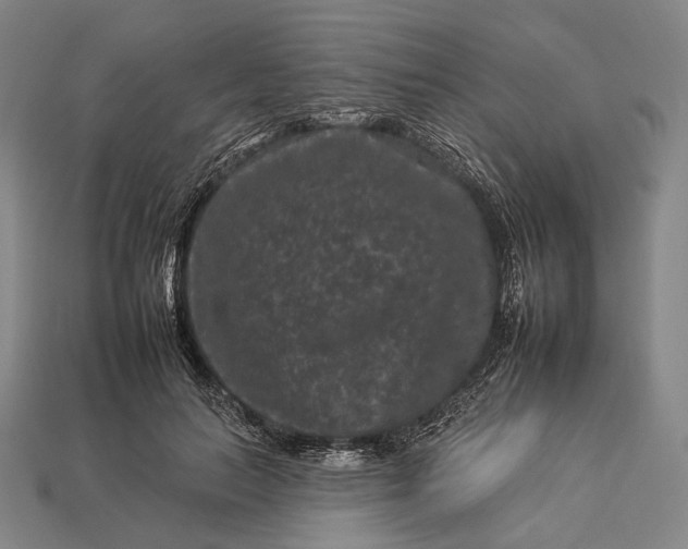 X0000112930647200909071034