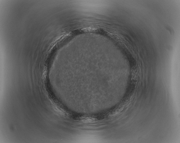 X0000112930648200909071034