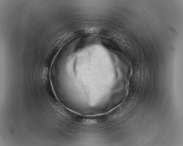 X0000112930649200909071034