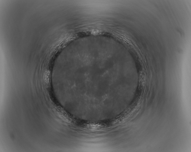 X0000112930650200909071034