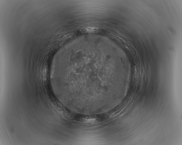 X0000112930651200909071034