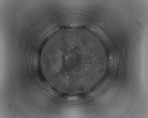 X0000112930653200909071034