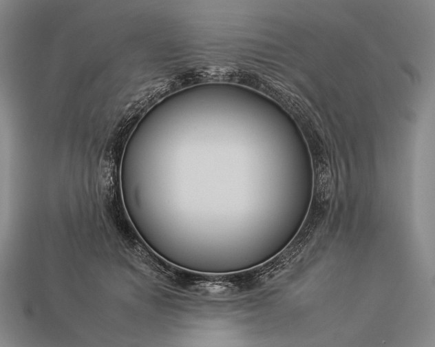 X0000112930654200909071034