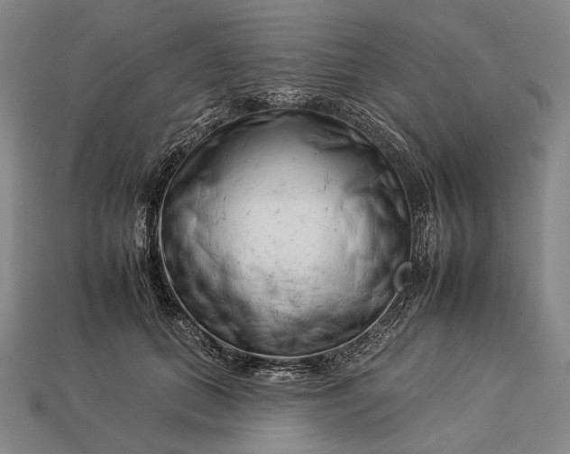 X0000112930655200909071034