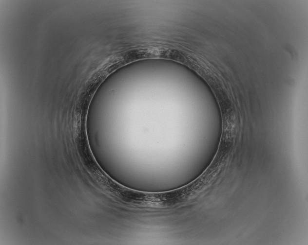 X0000112930656200909071034