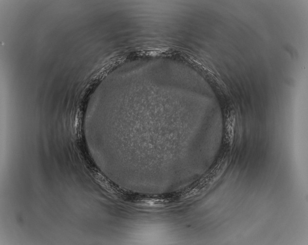 X0000112930657200909071034