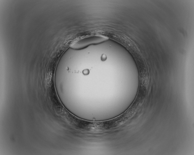 X0000112930660200909071034