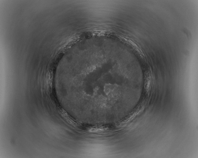 X0000112930661200909071034