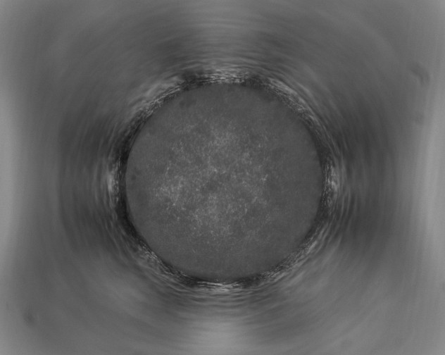 X0000112930663200909071034