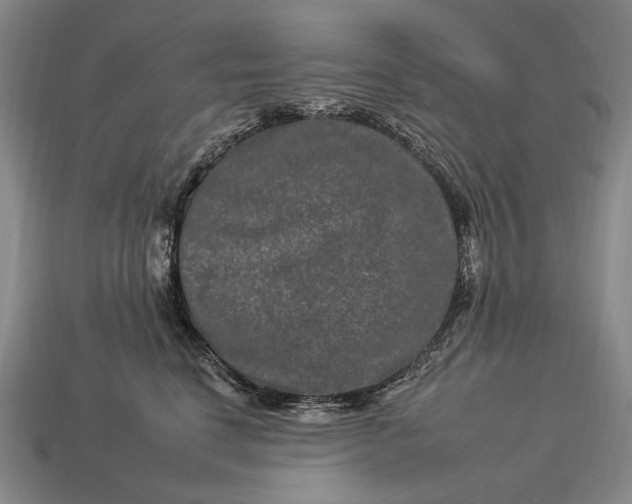 X0000112930664200909071034