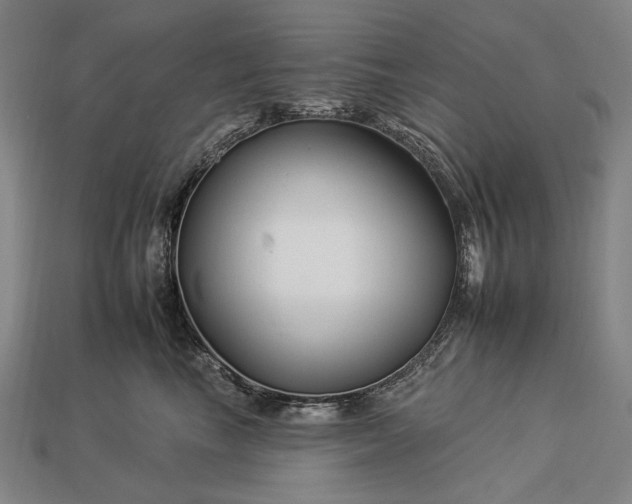 X0000112930665200909071034