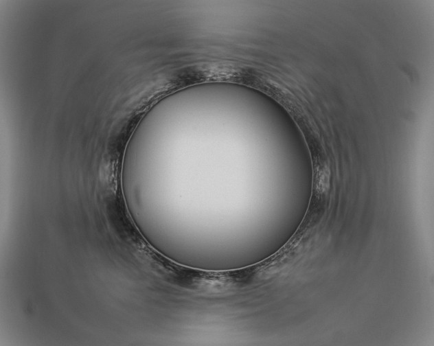 X0000112930666200909071034