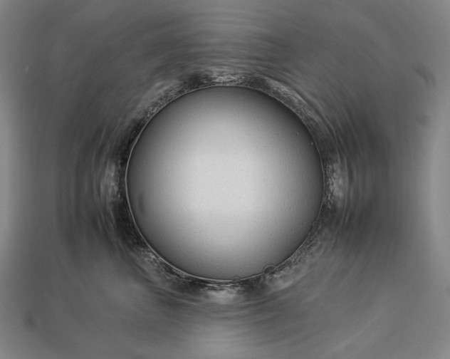 X0000112930667200909071034