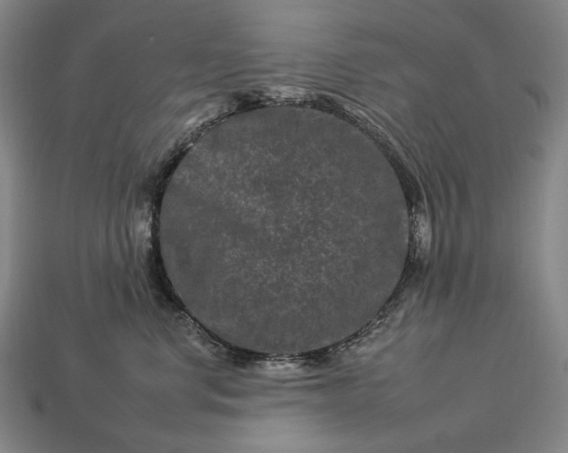 X0000112930668200909071034