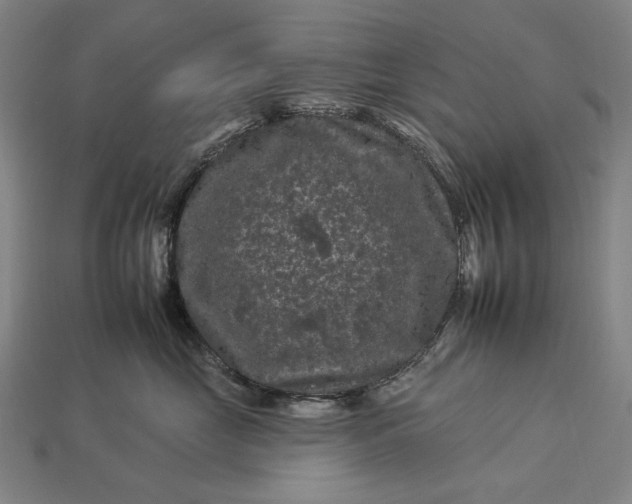 X0000112930669200909071034