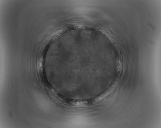 X0000112930670200909071034