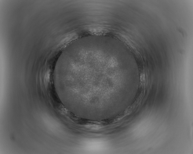 X0000112930671200909071034