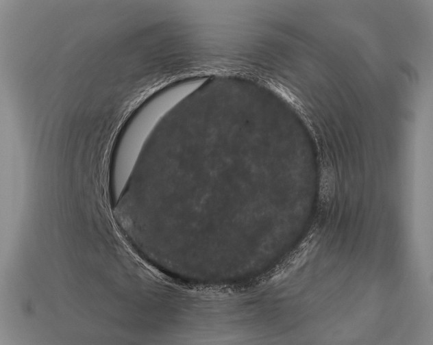 X0000112930673200909071034