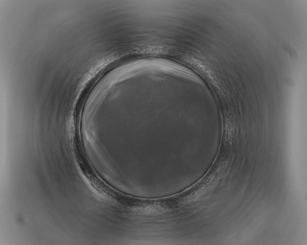 X0000112930674200909071034