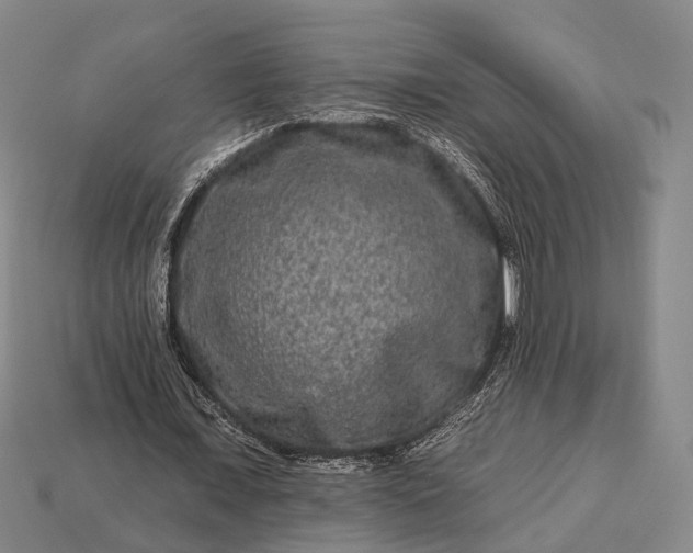 X0000112930675200909071034